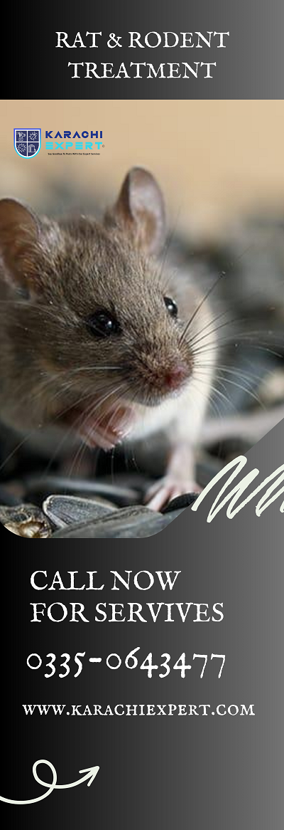 Rat-Rodent-Treatment