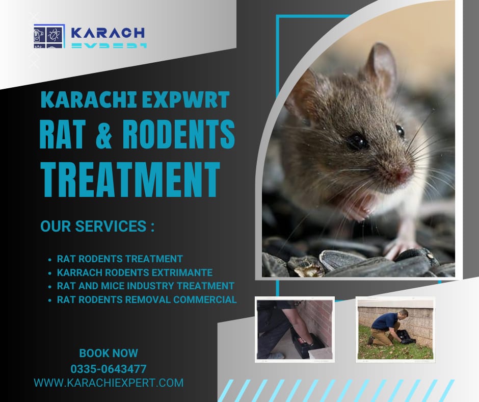 Rat & Mice Treatment in Karachi | Rodent Treatment