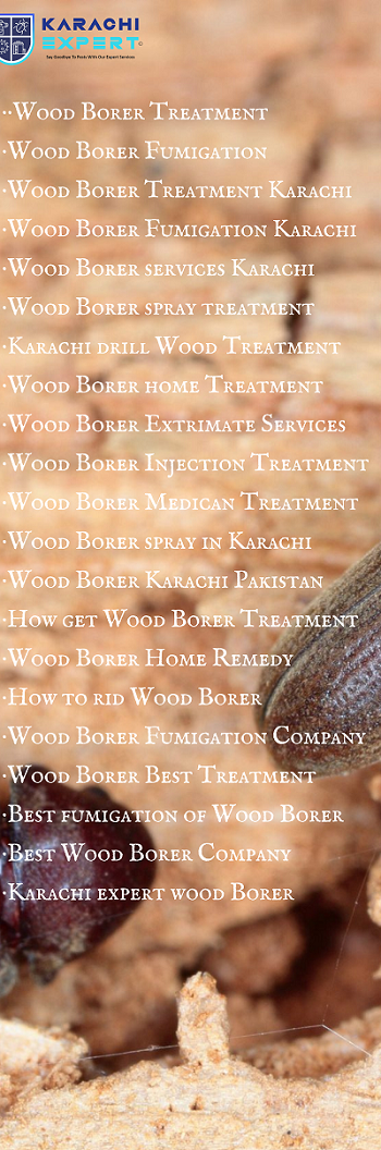 Wood Borer Treatment lkarachi